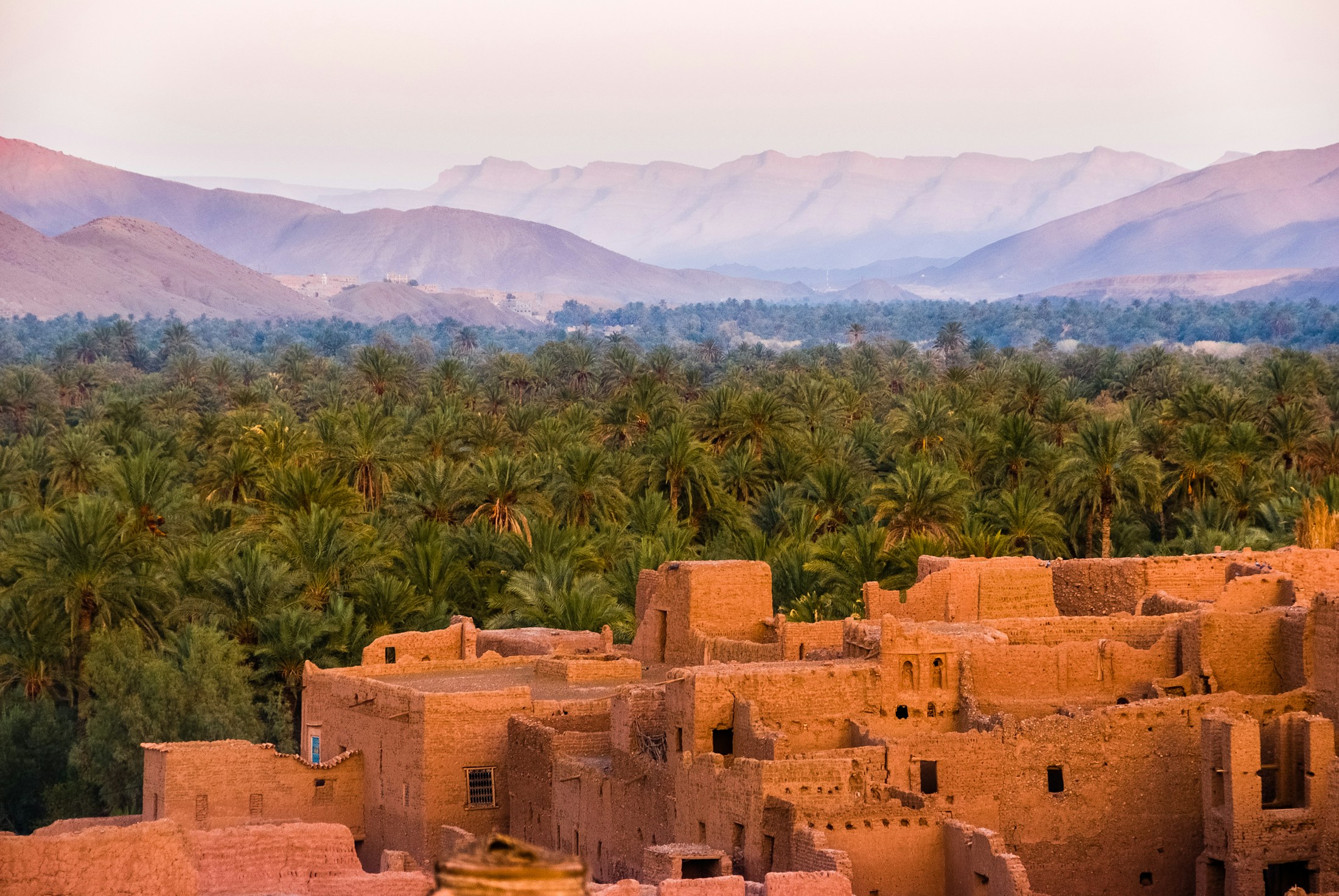 Moroccan palm oasis and kasbahs